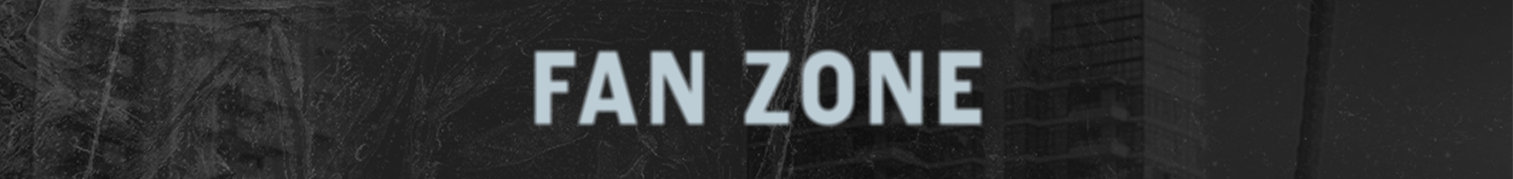 FanZone_SkinnyBanner.jpg