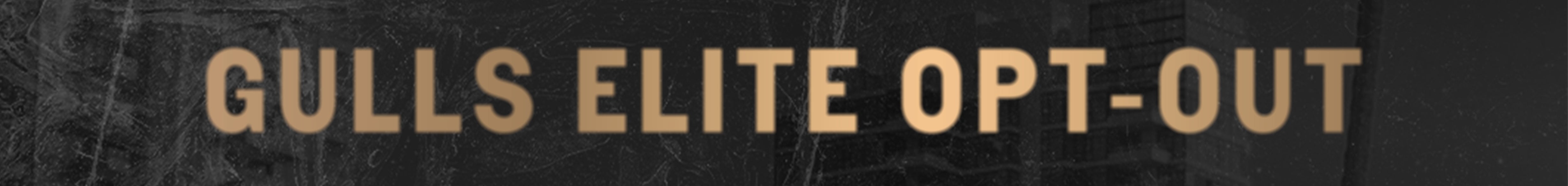 GullsEliteOptOut_SkinnyBanner.jpg