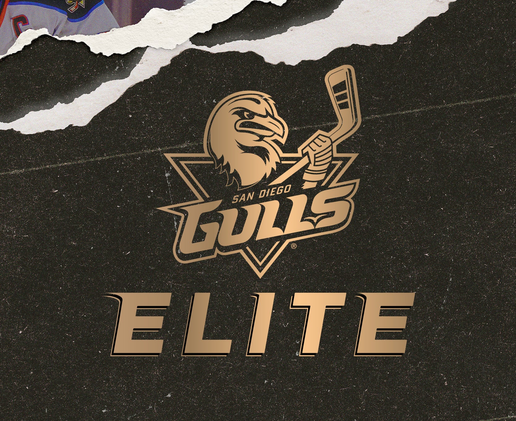 GullsElite_WebsiteBanner_400x326.jpg