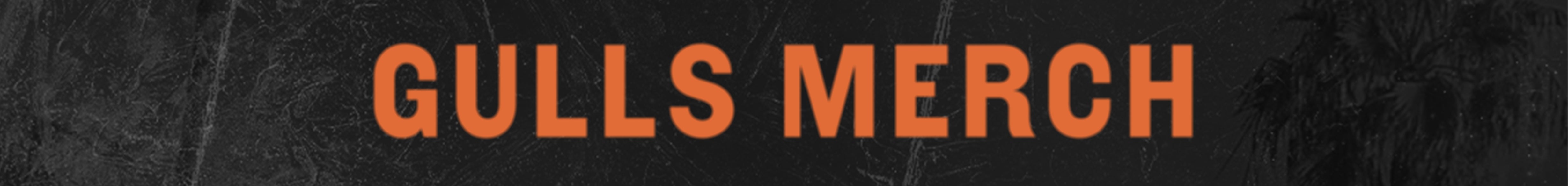 GullsMerch_SkinnyBanner.jpg