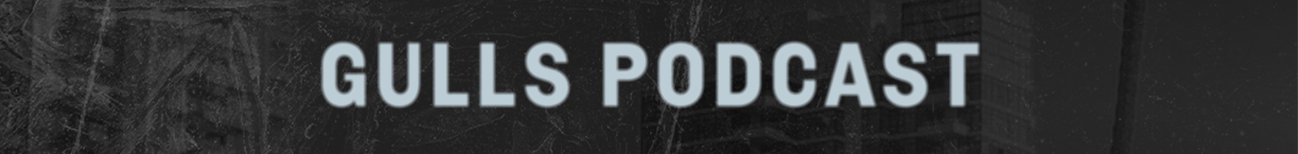 GullsPodcast_SkinnyBanner.jpg