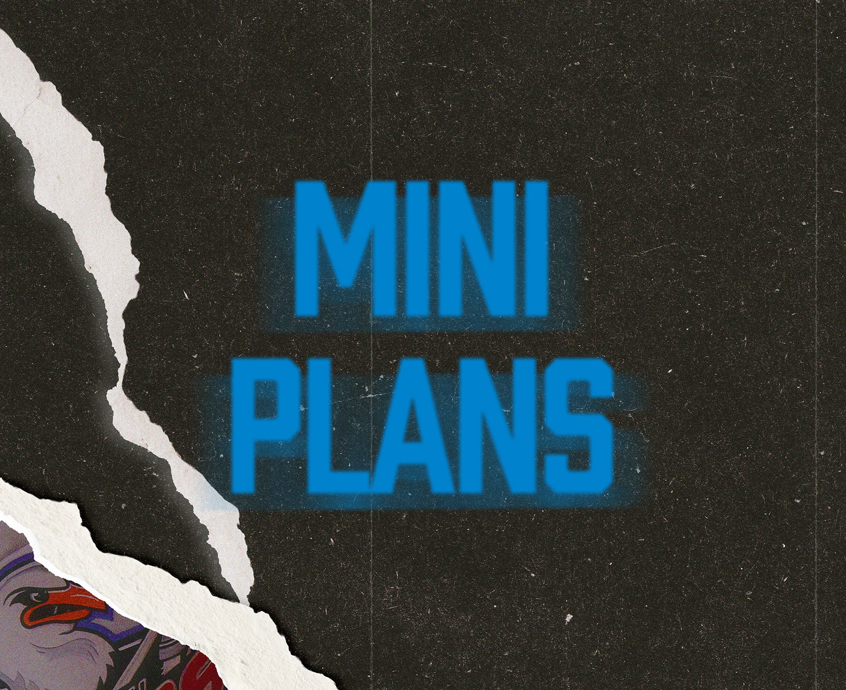 MiniPlans_WebsiteBanner_400x326.jpg