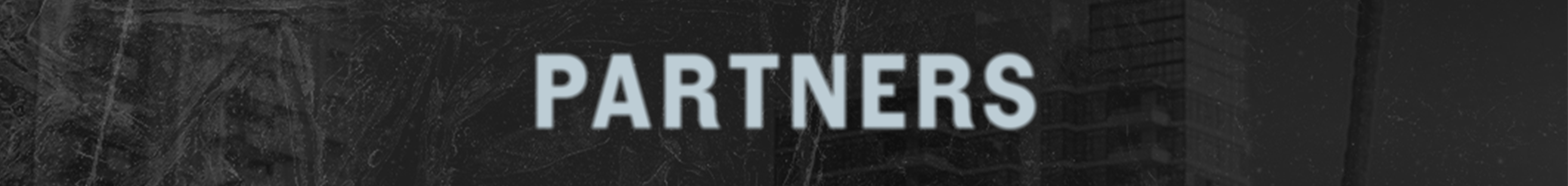 Partners_SkinnyBanner.png