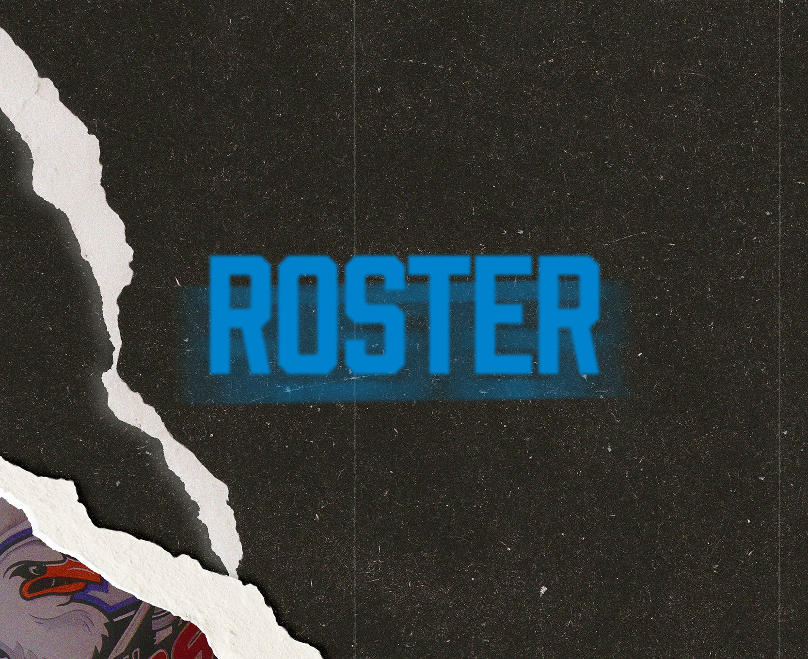 Roster_WebsiteBanner_400x326.jpg