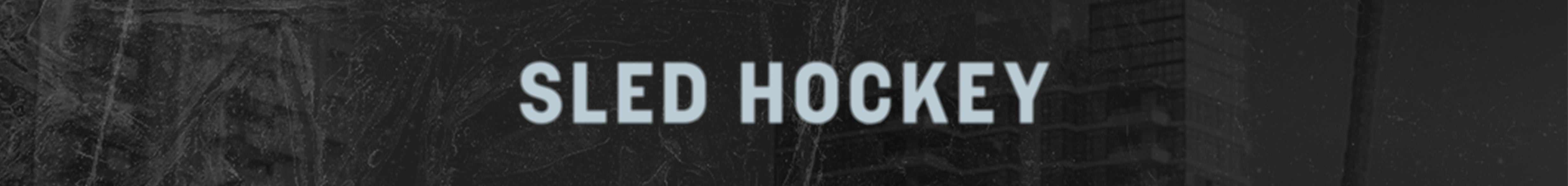 SledHockey_SkinnyBanner.jpg